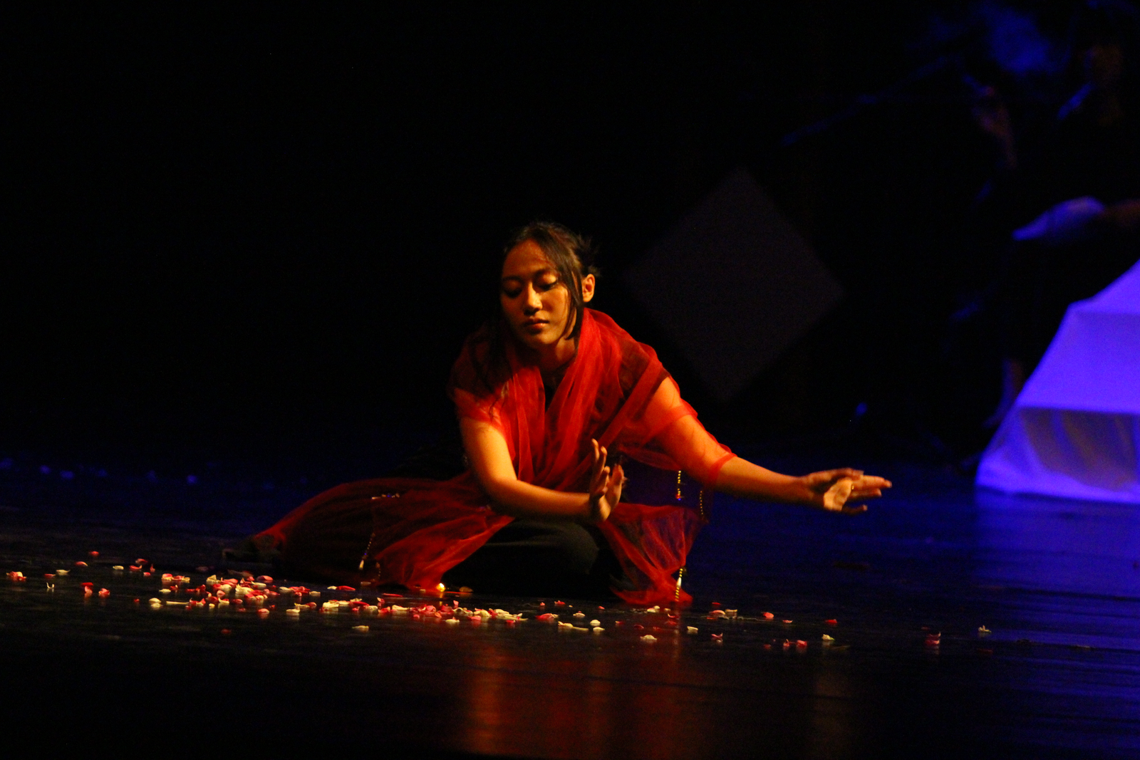 Malam Pentas Bogani Fest